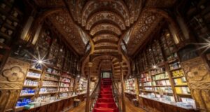 7 bibiothèques à découvrir
