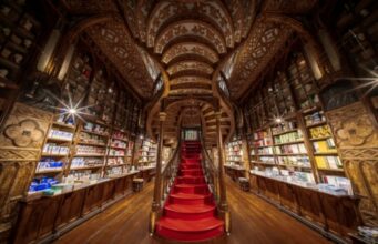 7 bibiothèques à découvrir