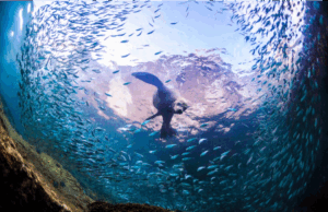 Cabo Pulmo : sanctuaire corallien unique au MexiqueÂ