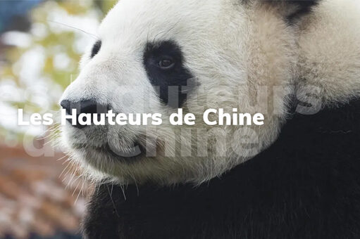 LE ZOOPARC DE BEAUVAL FAIT SON ENTRÉE DANS LA CARAVANE DU TOUR DE FRANCE 2025