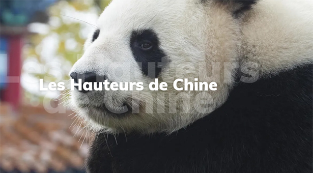 LE  ZOOPARC DE BEAUVAL FAIT SON ENTRÉE DANS LA CARAVANE DU TOUR DE FRANCE 2025