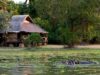 Tourisme écoresponsable : 4 destinations à découvrir en famille