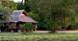 Tourisme écoresponsable : 4 destinations à découvrir en famille