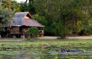 Tourisme écoresponsable :  4 destinations à découvrir en famille