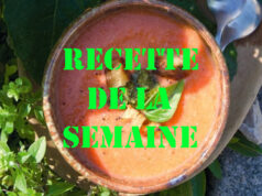Crème de tomate au basilic
