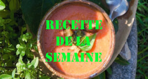 Crème de tomate au basilic