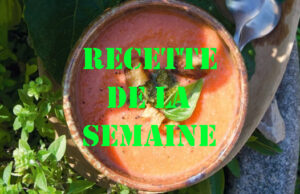 Crème de tomate au basilic