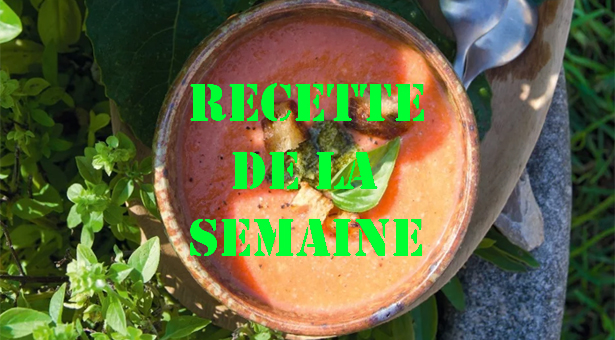 Crème de tomate au basilic