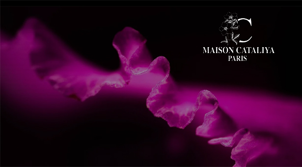 Maison Cataliya : un parfum d’histoire et d’héritage