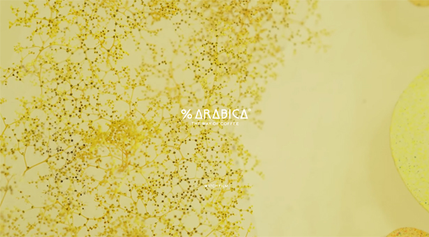 %ARABICA allie design japonais épuré, service artisanal et caféde spécialité de très haute qualité