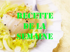 NOIX DE SAINT-JACQUES AU CIDRE