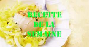 NOIX DE SAINT-JACQUES AU CIDRE