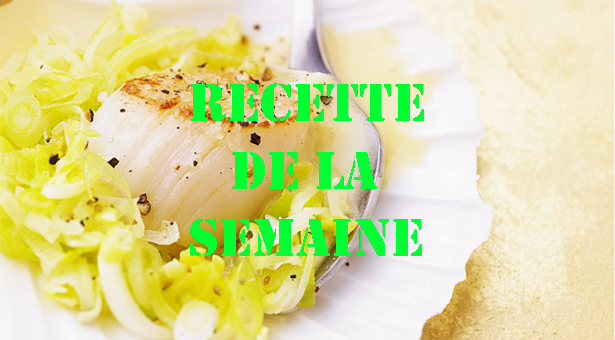 NOIX DE SAINT-JACQUES AU CIDRE