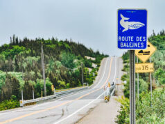 Itinéraire à travers les plus belles routes du Québec
