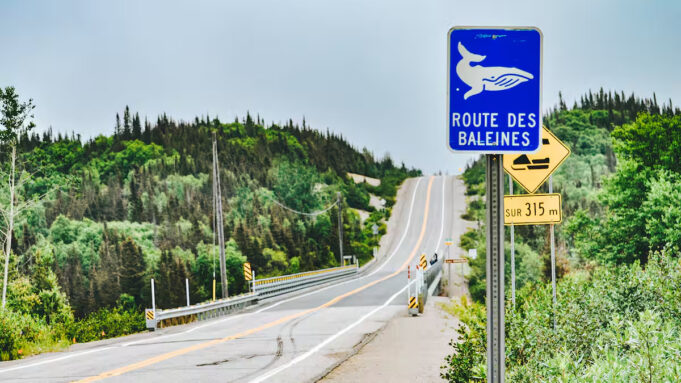 Itinéraire à travers les plus belles routes du Québec