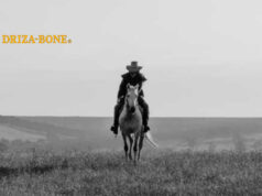 DRIZA BONE : la légende australienne débarque en France en 2025