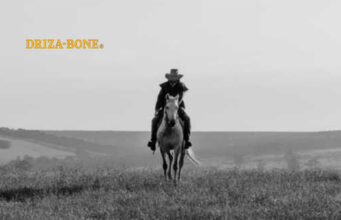 DRIZA BONE : la légende australienne débarque en France en 2025