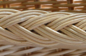 Art de vivre : le Rotin