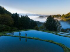 Japon – Exploration au cœur de la nature