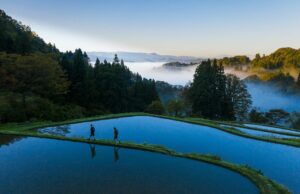 Japon – Exploration au cœur de la nature