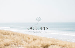 OCEOPIN Masque gommant 3 en 1 – Dégrisant, nourrissant, illuminant