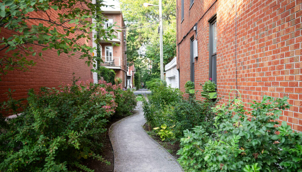 Montréal : secrets bien gardés et découvertes insolites