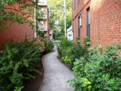 Montréal : secrets bien gardés et découvertes insolites