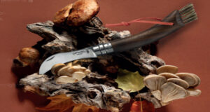 Opinel décline son iconique n°08 Champignon en noyer noir !